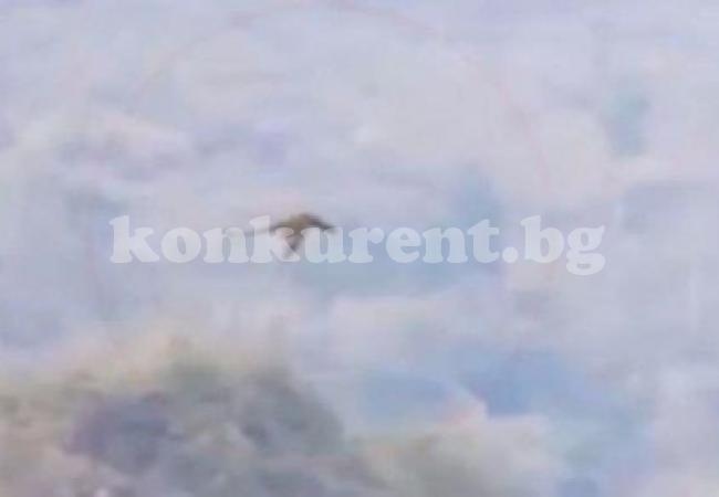 Интернет хит! Заснеха жив дракон в небето над Китай (ВИДЕО)