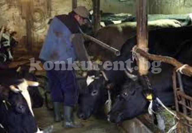 Писаха акт на фермер в присъствието на полицаи