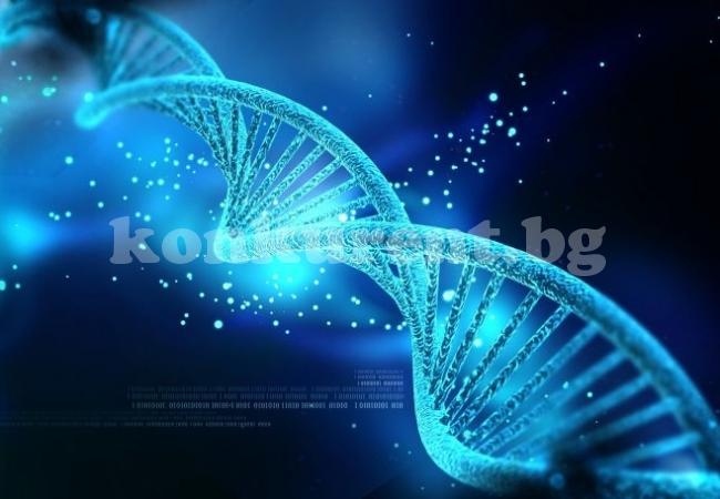 Учени отсякоха: Между 75 и 90% от човешката ДНК е боклук! 
