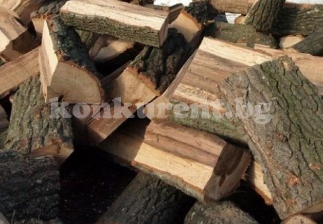 Намериха незаконни дърва в двор на селска къща