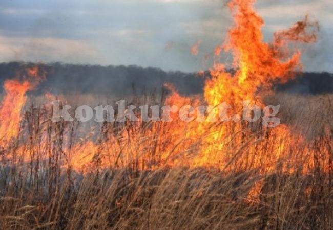 Забранява се запалването на стърнища на територията на Община Мездра