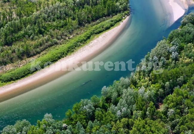 Дунавският регион може да бъде „Зеленото сърце на Европа“