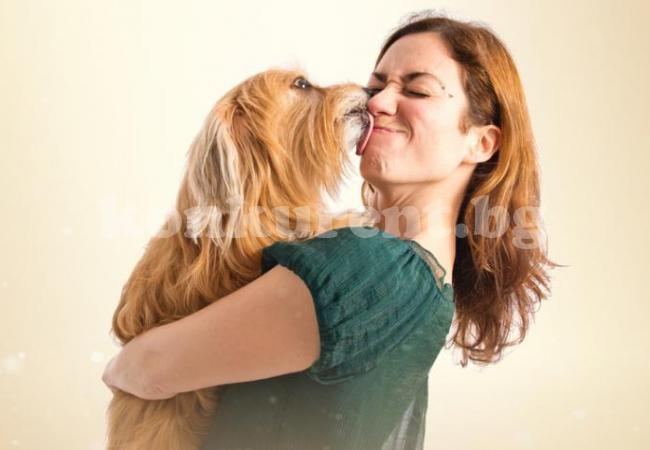Кучешката целувка може да е опасна