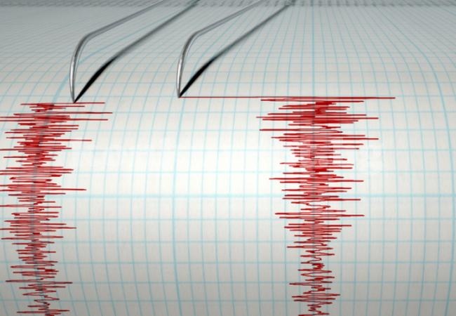 Земетресение с магнитуд от 5,2 по скалата на Рихтер