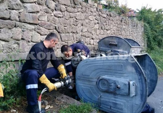 Пожарникари спасиха палави котка и куче