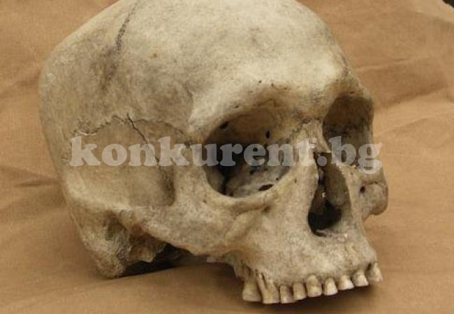 Мистерия: Откриха човешки череп в плевня