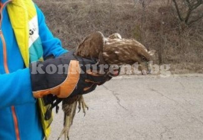 Жандармерист-парапланерист спаси орел мишелов