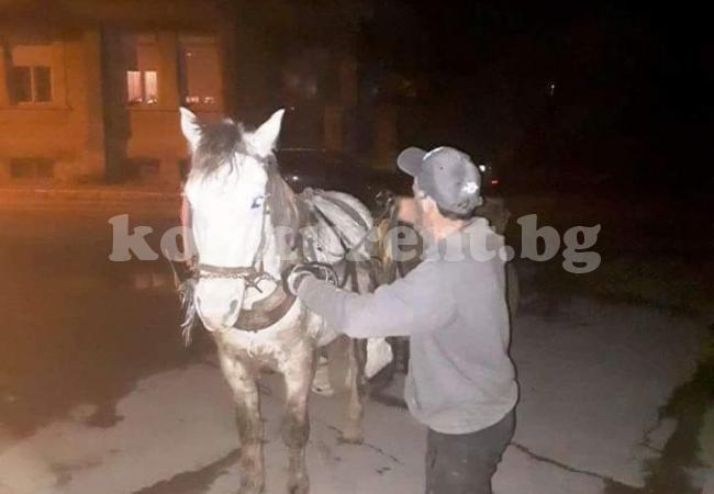 Конфискуваха кон и каруца в центъра на Враца СНИМКИ