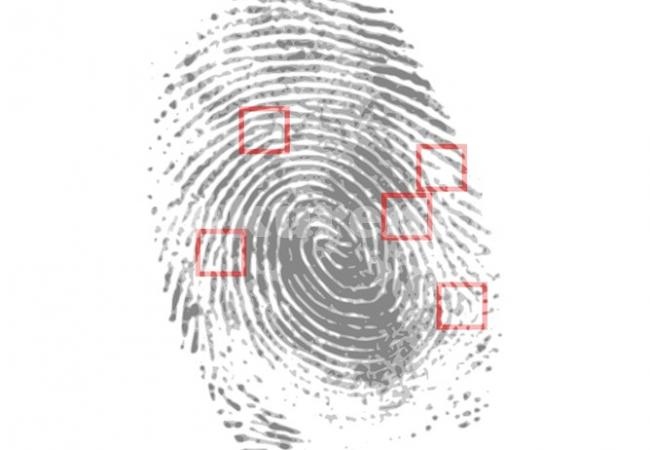 Всички лични карти в ЕС - с пръстови отпечатъци