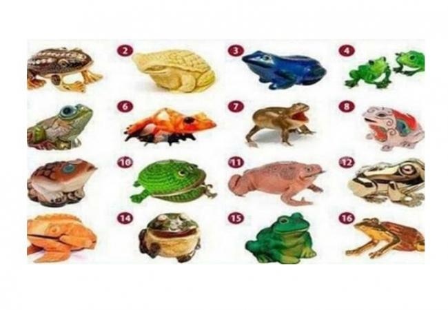Изберете си жаба, за да откриете своя път към богатството