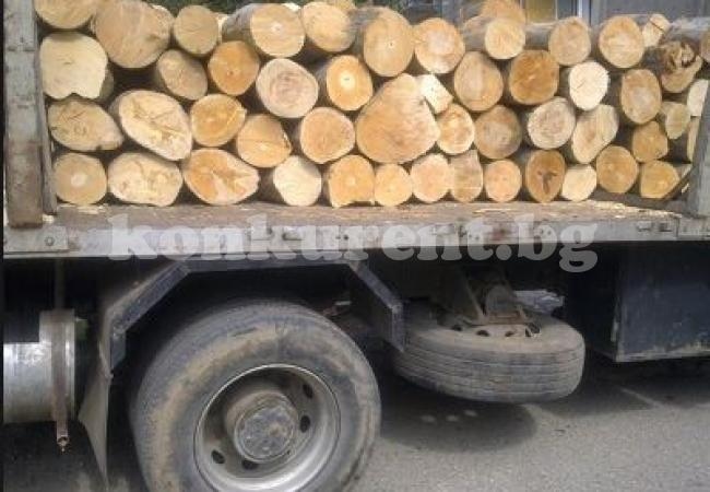 Одрусаха с три акта водач, който превозвал бракониерски дърва