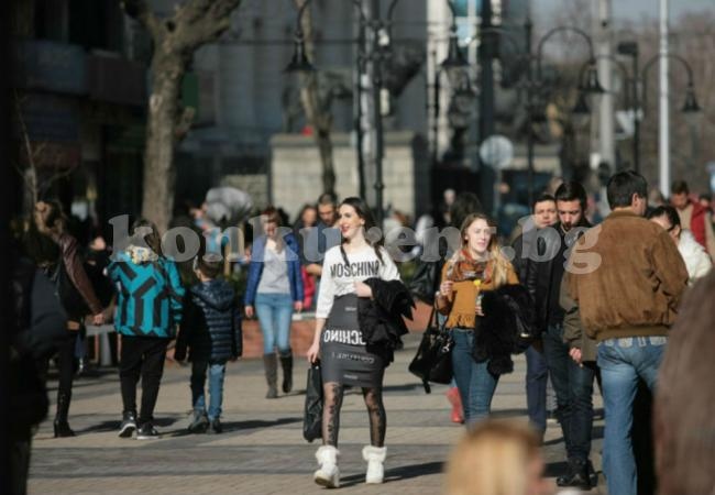 „Галъп“: Половината българи имат проблеми с пълния и краткия член