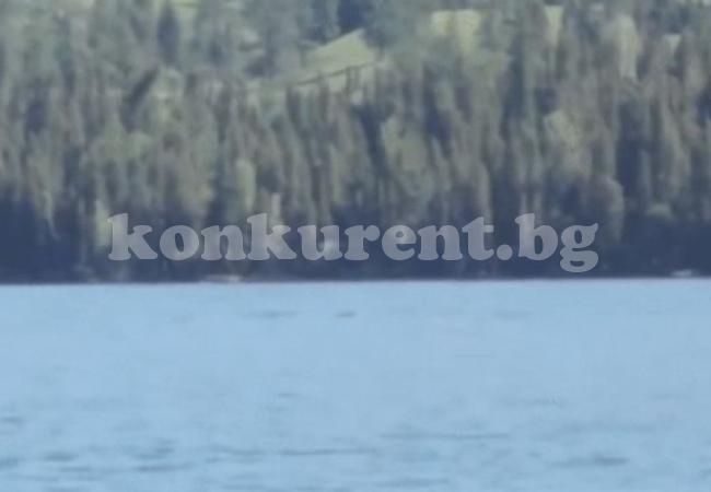 Загадъчно същество, наподобяващо чудовището от Лох Нес, изплува в езеро (ВИДЕО)  