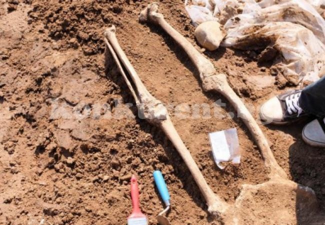 Гроб с костни останки откриха врачански археолози 