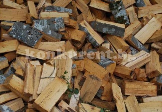  Установиха 4 кубика незаконни дърва за огрев