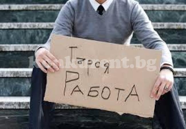 Предлагат заплата от 1 100 лева във Враца, вижте къде търсят хора