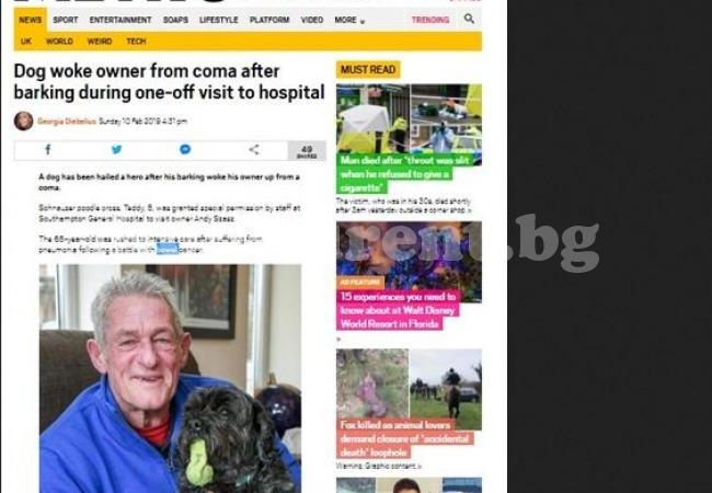 65-годишен се събуди от кома, след като чу кучето си