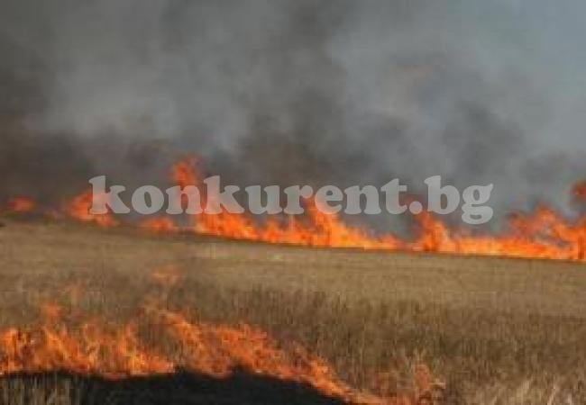 Пожар вилня в Бело поле