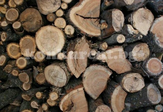 Установиха 5 кубика незаконни дърва за огрев