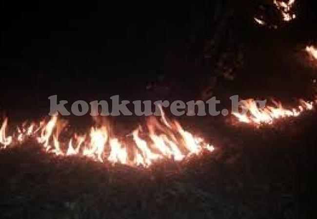 Голям пожар гори край Враца СНИМКИ