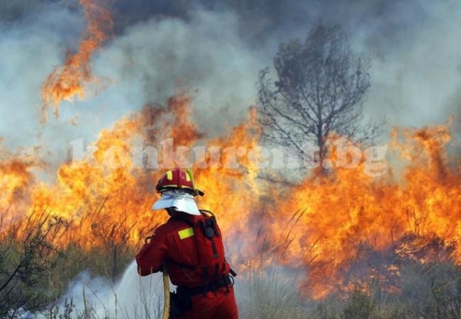 Огън изпепели 150 дка гора