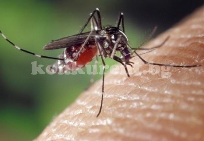 Увеличават се случаите на вирусен менингит у нас заради комарите