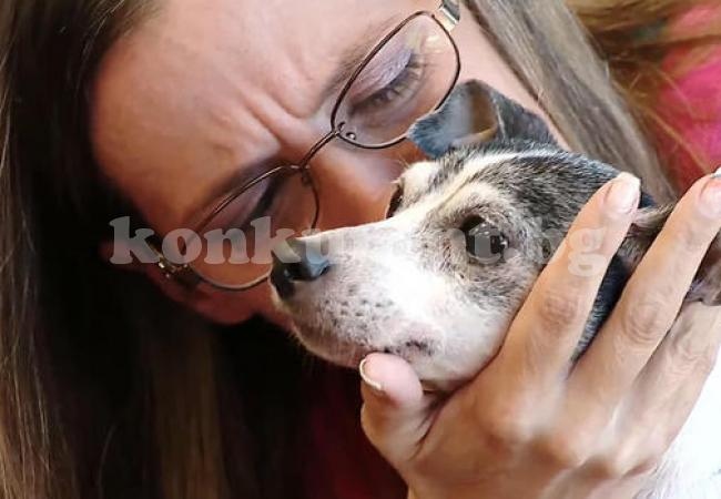 Изгубено куче се събра със стопанката си след 12 години