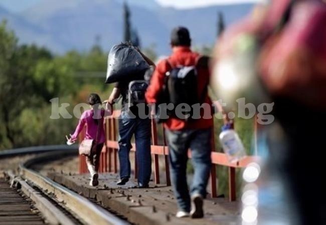 Над 100 хил. мигранти заловени край границите на Турция с България тази година