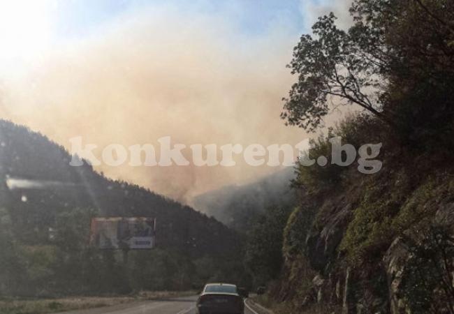 Пожар затвори пътя за Гърция край Кресна  