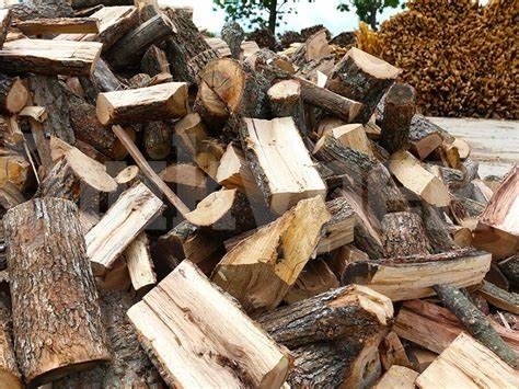 В Белоградчик откриха две коли, наблъскани с незаконно отсечени дърва
