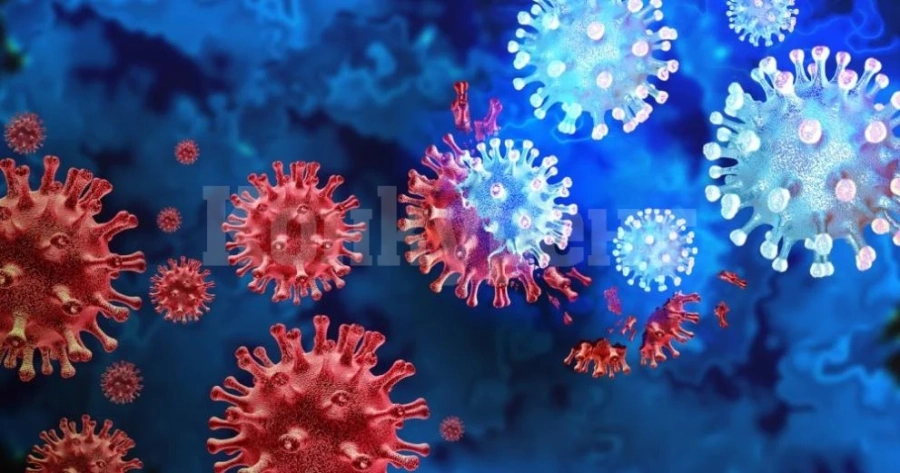 Германско изследване: Причините за бързото разпространение на новият COVID вариант Ерис