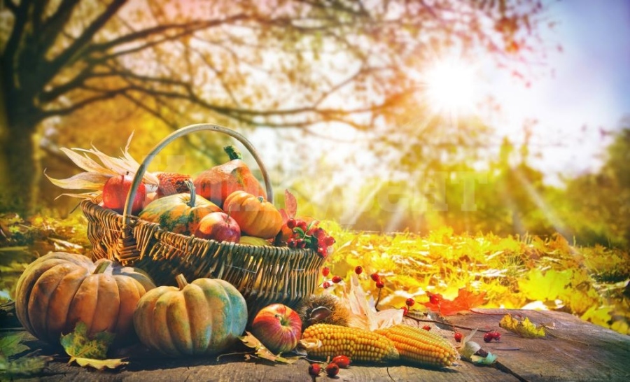 Храните, които подобряват имунитета ни през есента