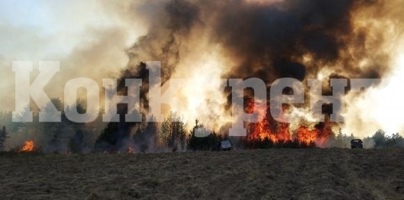 Гасиха запалени треви във Видинско