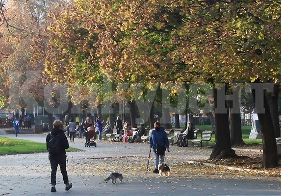 До 27 градуса ще достигат максималните температури през следващите дни