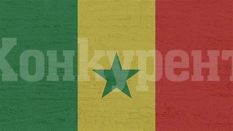 Президентските избори в Сенегал започнаха 