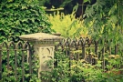 Красимир Богданов /ВМРО/: Кога старият гробищен парк във Враца ще има ограда