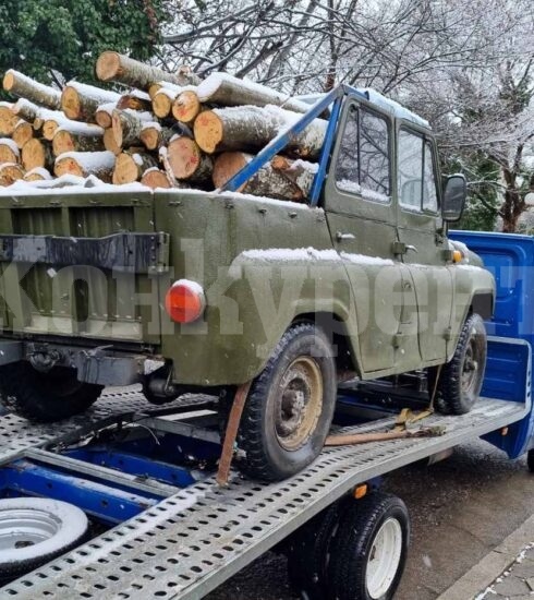Хванаха 20-годишен с крадени дърва във Видинско 