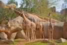 В коя държава се намира най-големият зоопарк в Европа