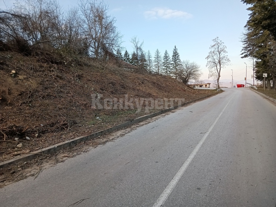 Поставят 75 градински пейки в Белоградчик
