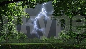 Времето: краткотрайни валежи, придружени с гръмотевици