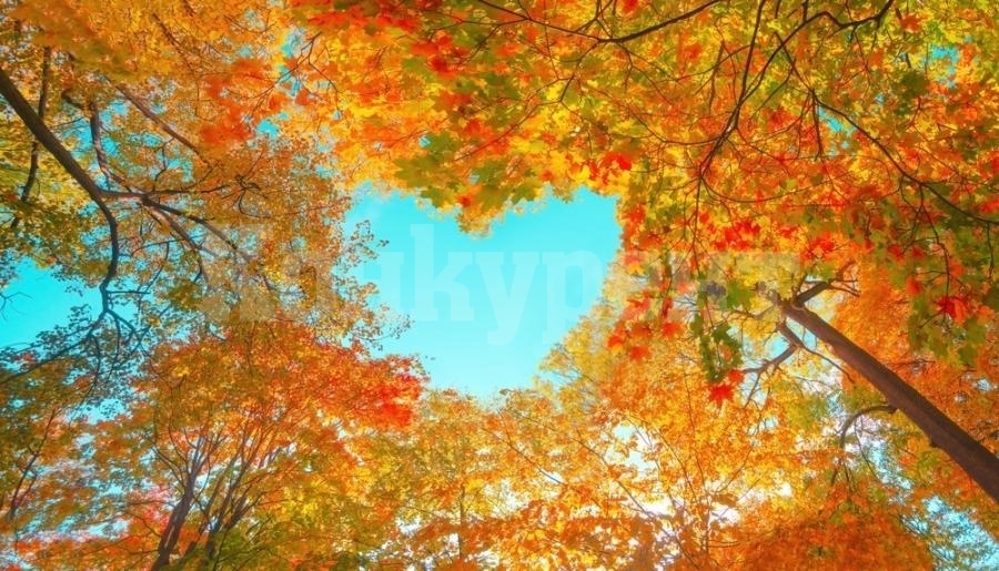 Вижте какво ще бъде времето в петък