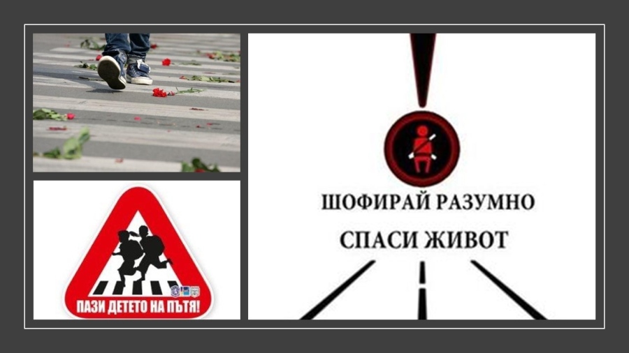 290 ПТП, 11 жертви и 76 ранени на територията на област Видин за първите девет месеца