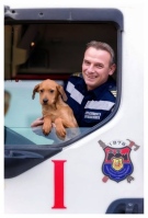 Пожарникарите на Видин и кучетата от общинския приют - заедно на  календар