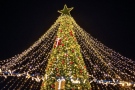  Коледната елха във Враца грейна с хиляди светлини