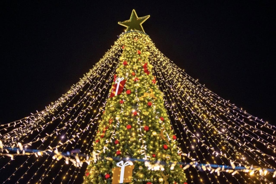  Коледната елха във Враца грейна с хиляди светлини