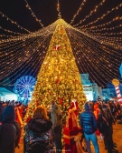 Феновете на Ботев ще гледат мача за Купата на България на голям екран на площад „Христо Ботев“