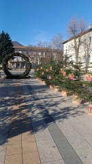 Училищата номинираха своите представители в инициативата  „Да си знаещ е модерно! Жива елха за любознателни деца“