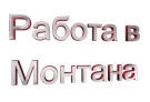 В Бюрото по труда в Монтана са обявени 21 свободни работни места за висококвалифицирани специалисти