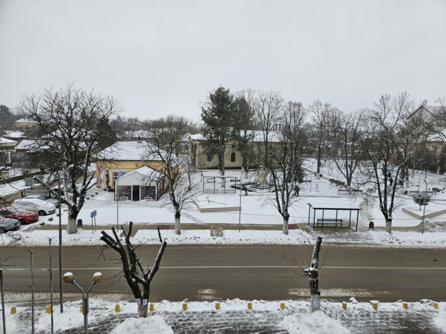 Габриела Раловска: На вниманието на живеещите в Търнава!