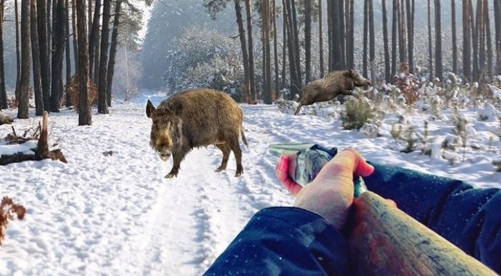 Във Врачанско са задържани трима мъже заради убит дивеч